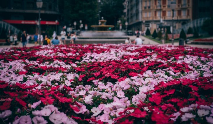 Los mejores planes primaverales para que disfrutes abril en Bilbao