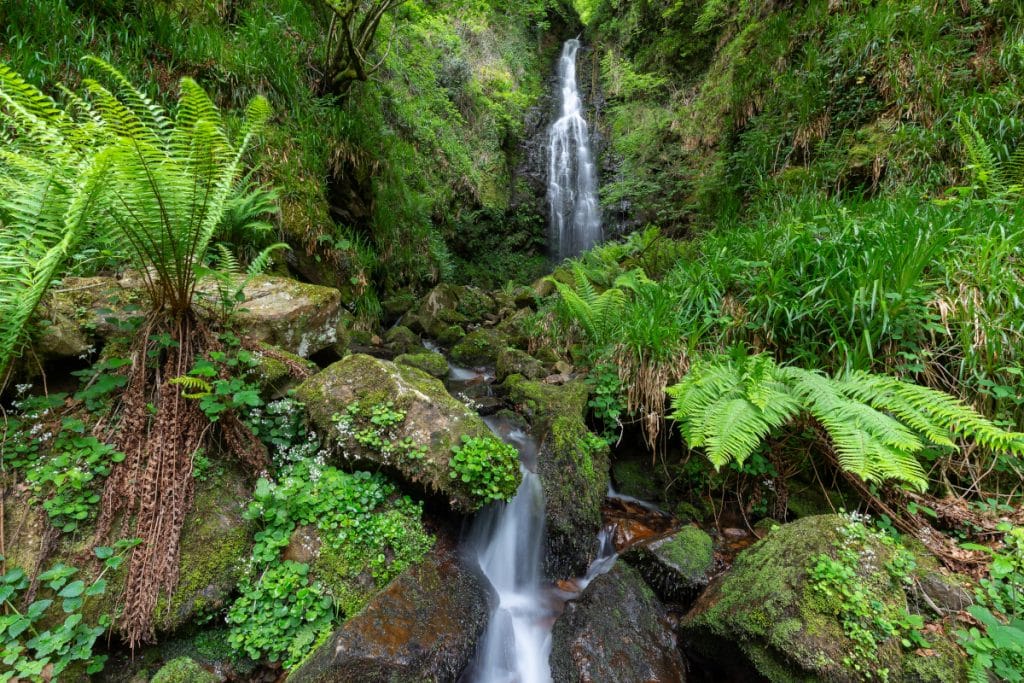 Cascada de Belaustegi: un espacio mágico en pleno Gorbeia