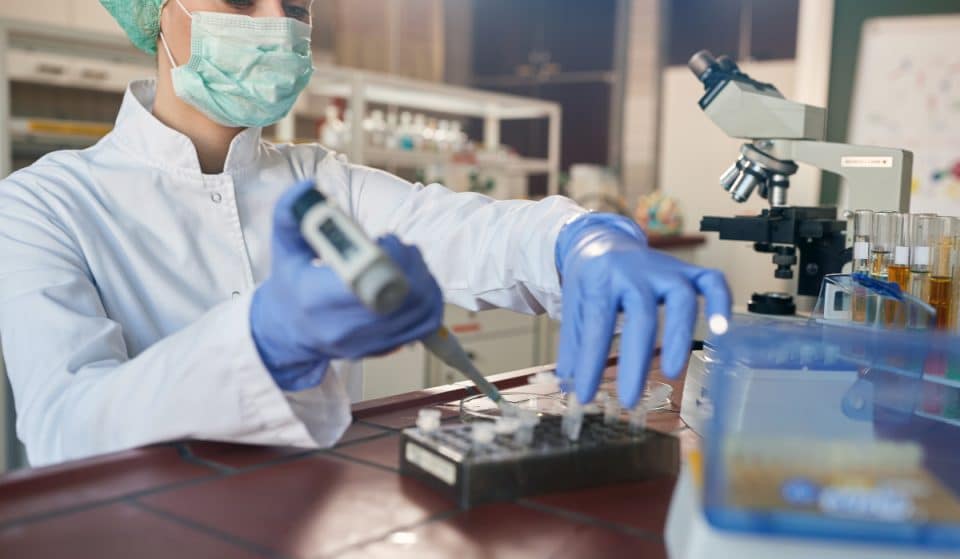 Una investigación de la UPV/EHU descubre un compuesto con un 85% de efectividad contra la Covid