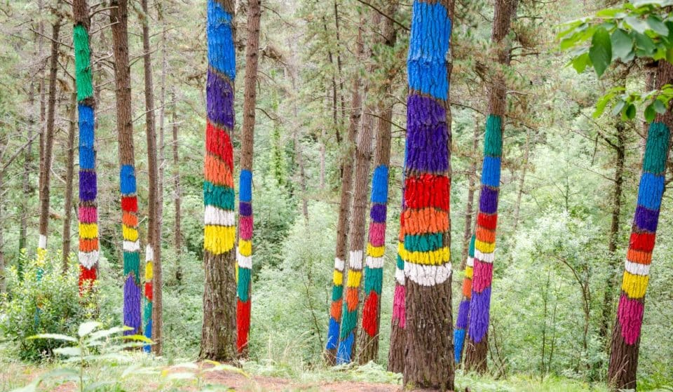 El nuevo Bosque de Oma se podrá visitar a partir de octubre
