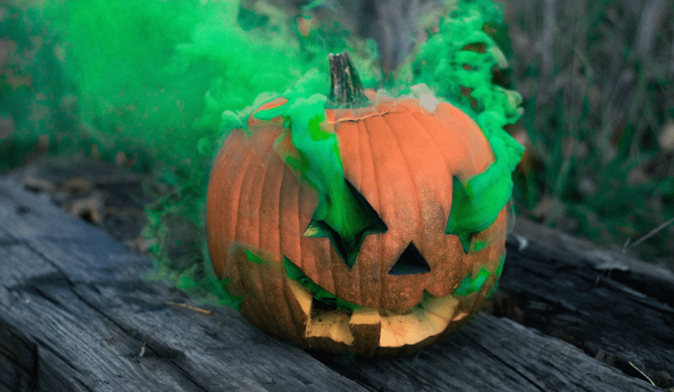Top des plans les plus insolites à tester pour Halloween !