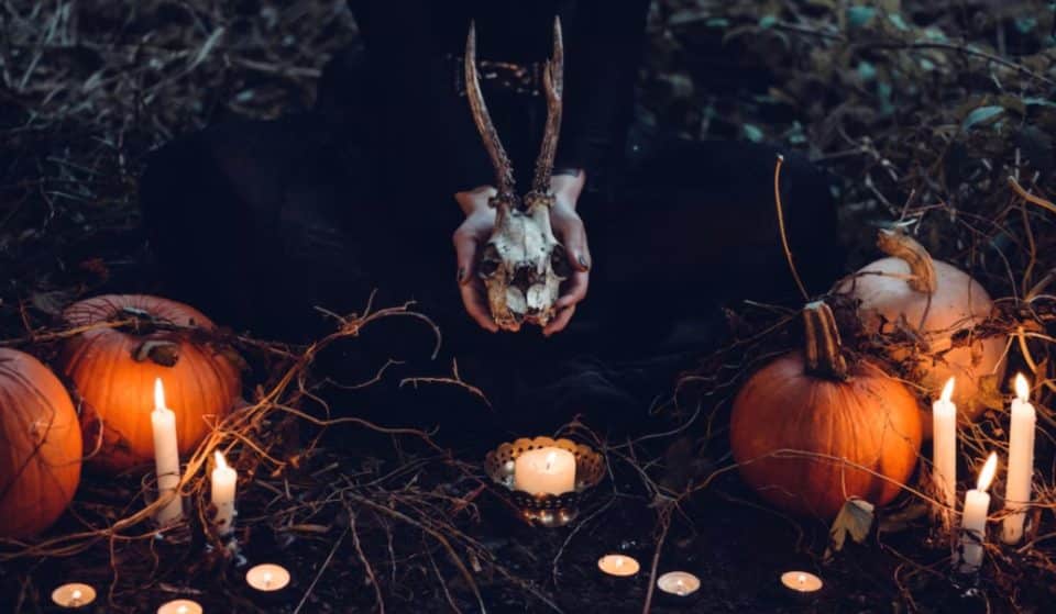 Top 4 des activités insolites à faire pour Halloween à Bordeaux !