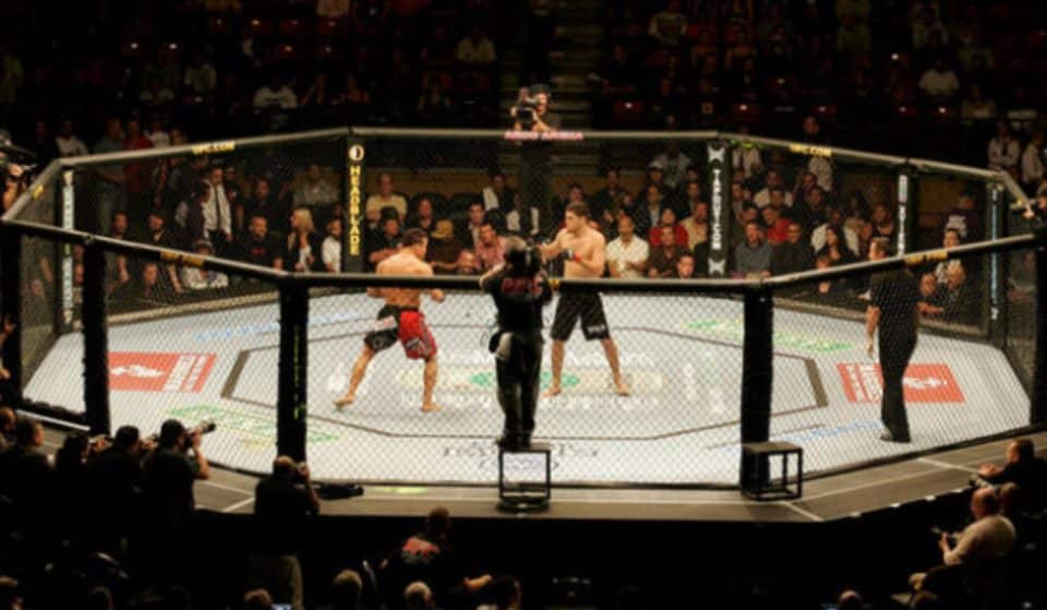 Insolite : le MMA Grand Prix débarque à Bordeaux !