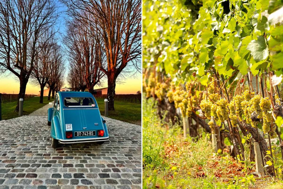 Activités Saint-Valentin à Bordeaux : visite du vignoble Bordelais en 2CV