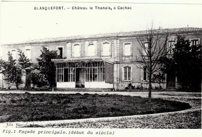 Tanaïs Castle in Blanquefort