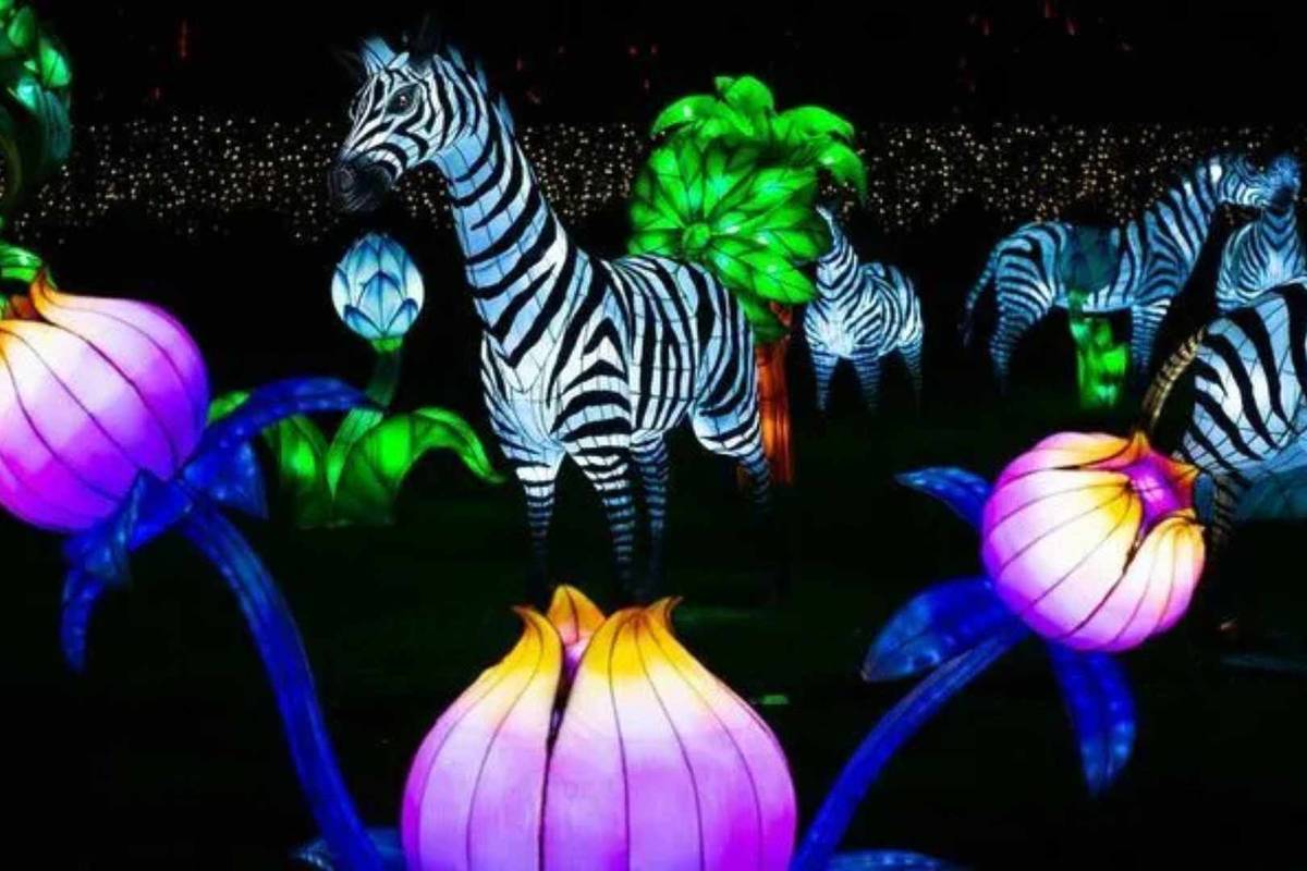 Odyssée lumineuse Bordeaux