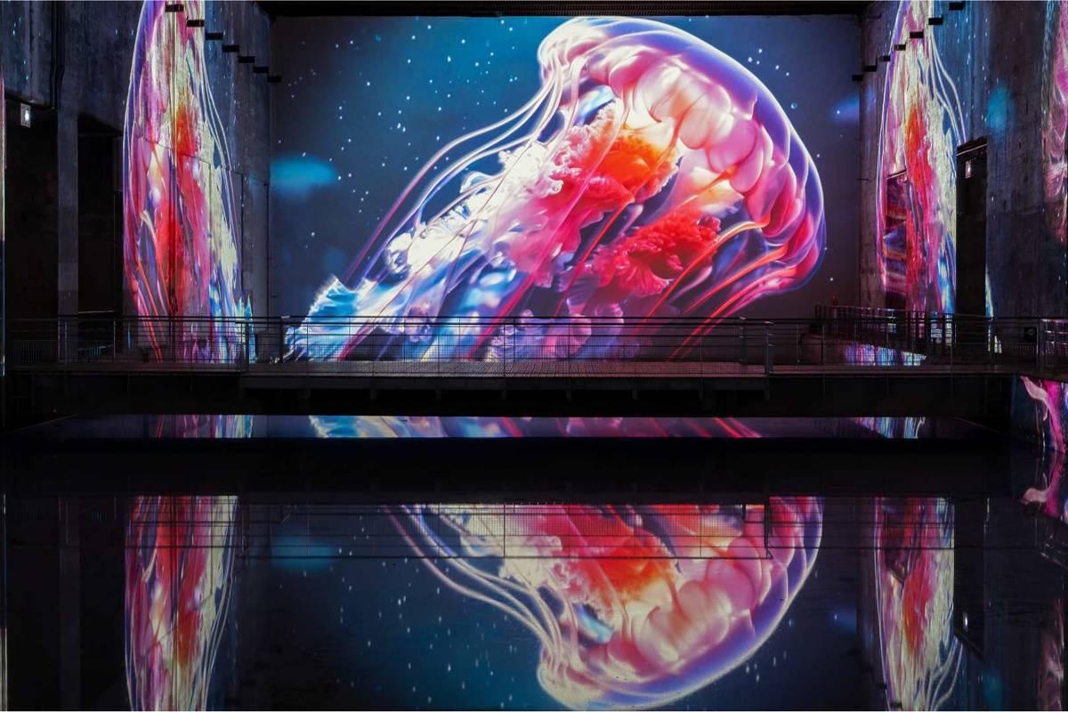 Exposition Océan au Bassin des Lumières de Bordeaux