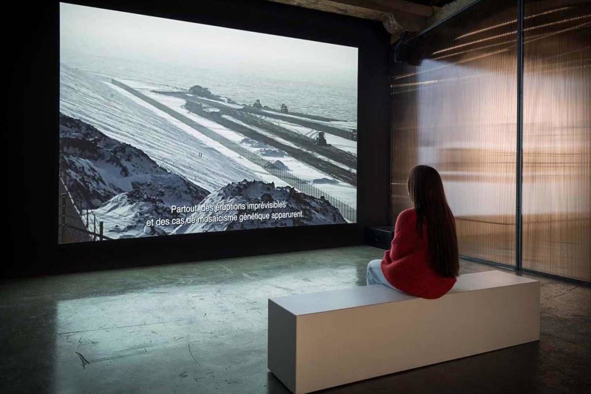 Exposition Pollen au CAPC de Bordeaux