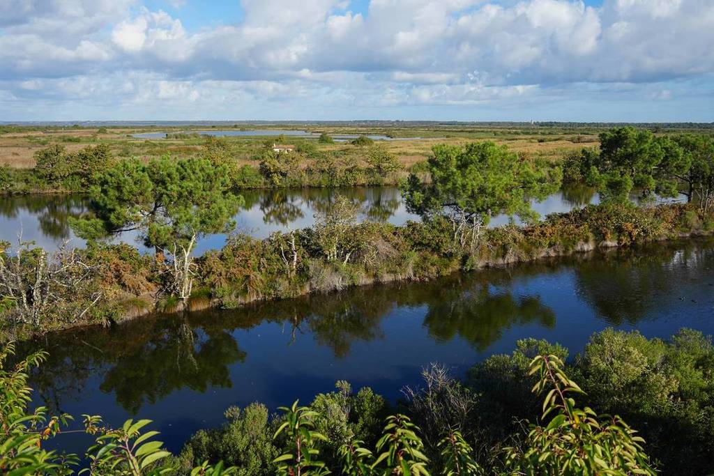 Besoin de calme et de nature ? On a trouvé un paradis sauvage à une heure de Bordeaux