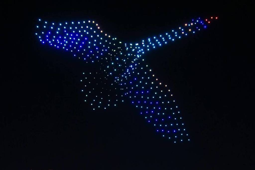 DroneArt Show