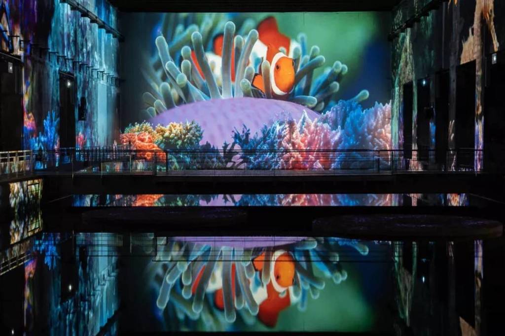 Plongez dans l’univers fascinant des fonds-marins sans quitter Bordeaux – une expérience inédite aux Bassins des Lumières