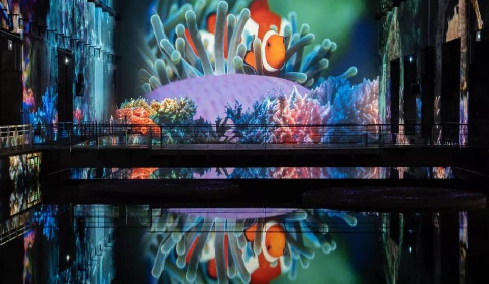 Plongez dans l’univers fascinant des fonds-marins sans quitter Bordeaux – une expérience inédite aux Bassins des Lumières
