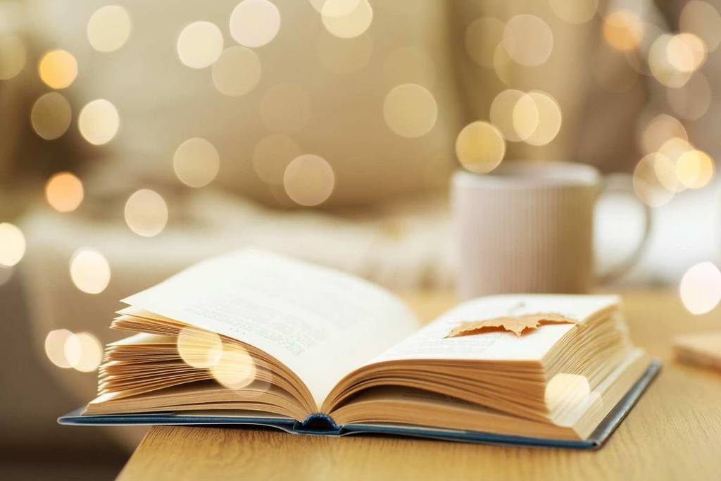 From fantasy to Montesquieu, our selection of must-visit literary addresses for book lovers in Bordeaux