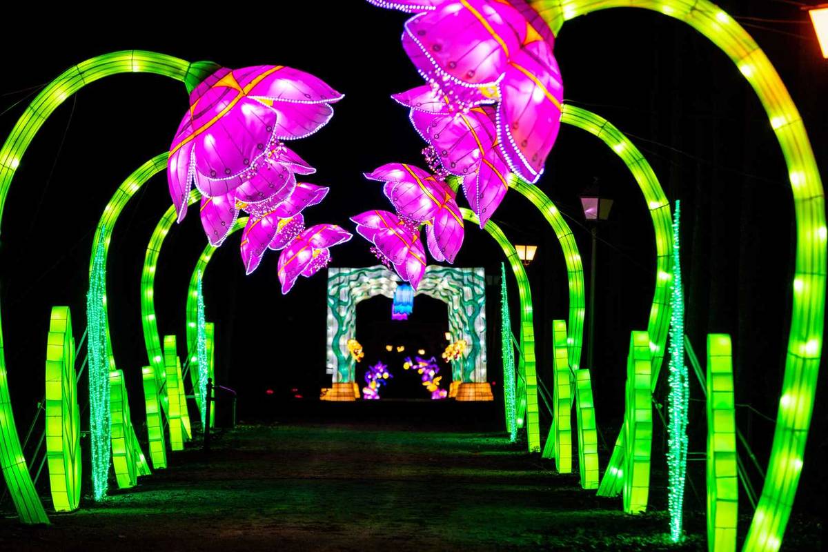 Festival des Lanternes au Château de Castel Novel près de Bordeaux