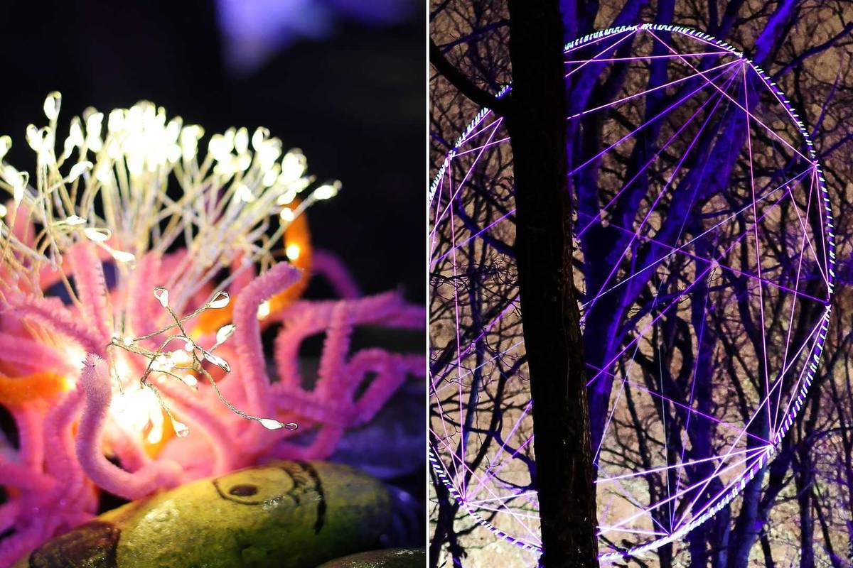 Hiver enchanté au Bois du Bouscat à Bordeaux