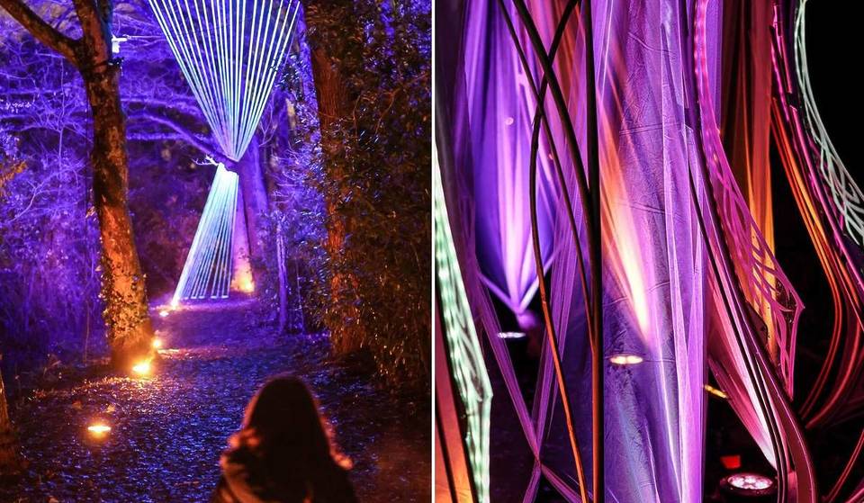 A free light show just 10 minutes from Bordeaux: the Bois Enchanté transforms into a mysterious museum all winter long.