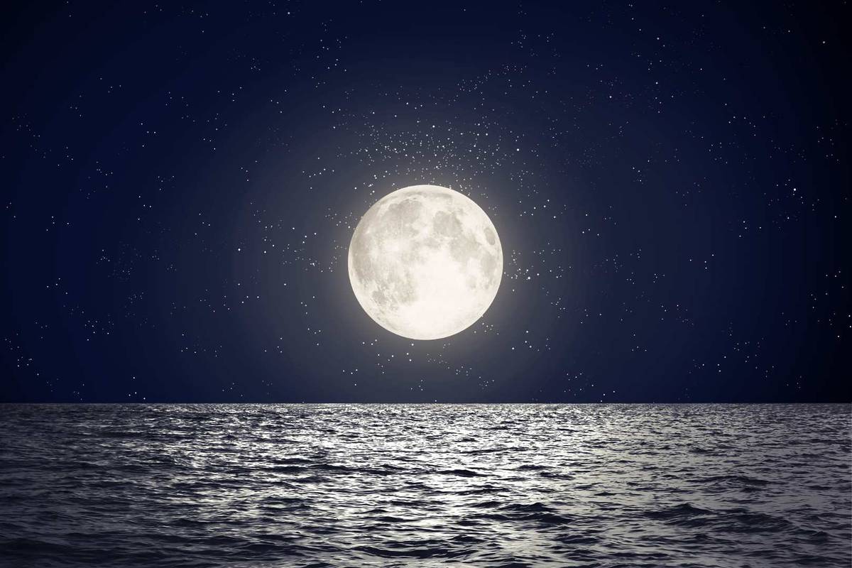 super-lune-loup-janvier-2026-3.jpg