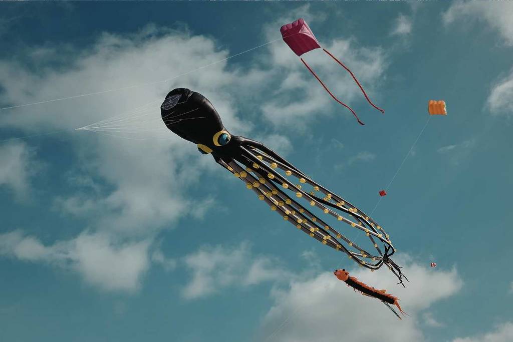 Cerf-volant
