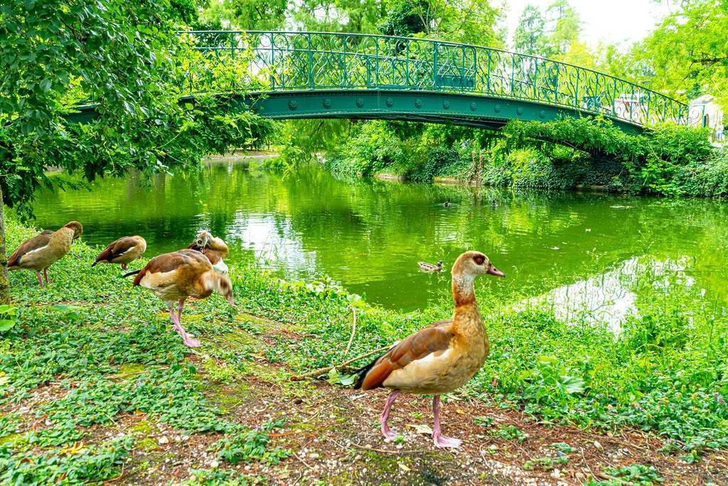 Bordeaux Public Garden