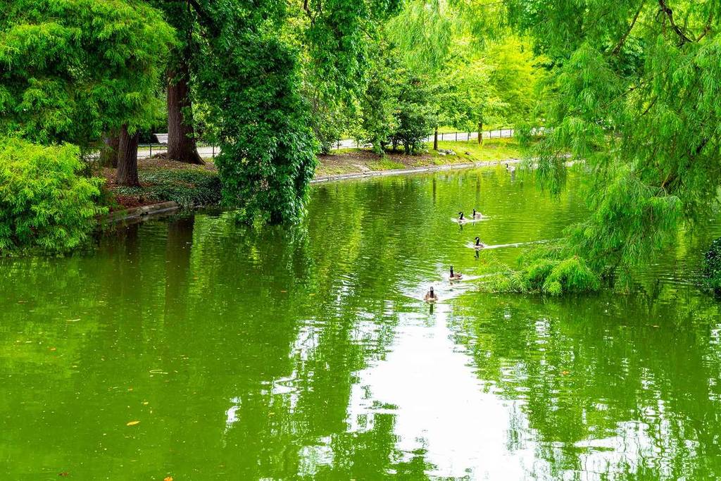 Jardin public de Bordeaux