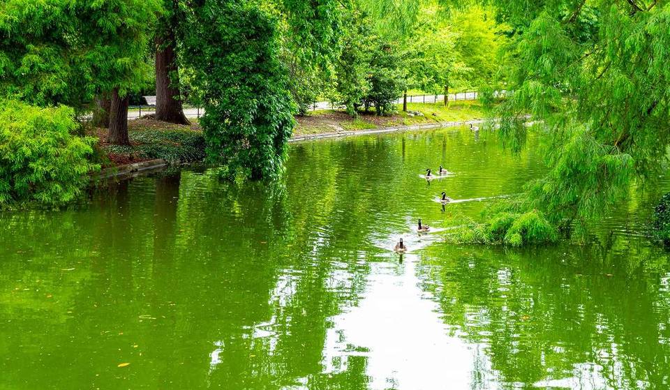 Les meilleurs parcs et jardins à Bordeaux et aux alentours pour se balader au retour du printemps