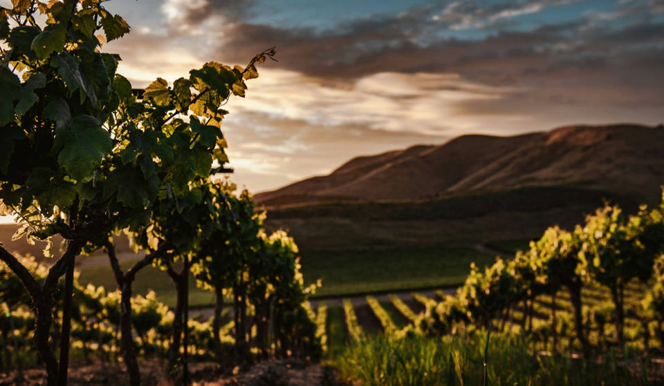Less than an hour from Bordeaux, this winery recreates the legendary wines of The Lord of the Rings so you can taste them