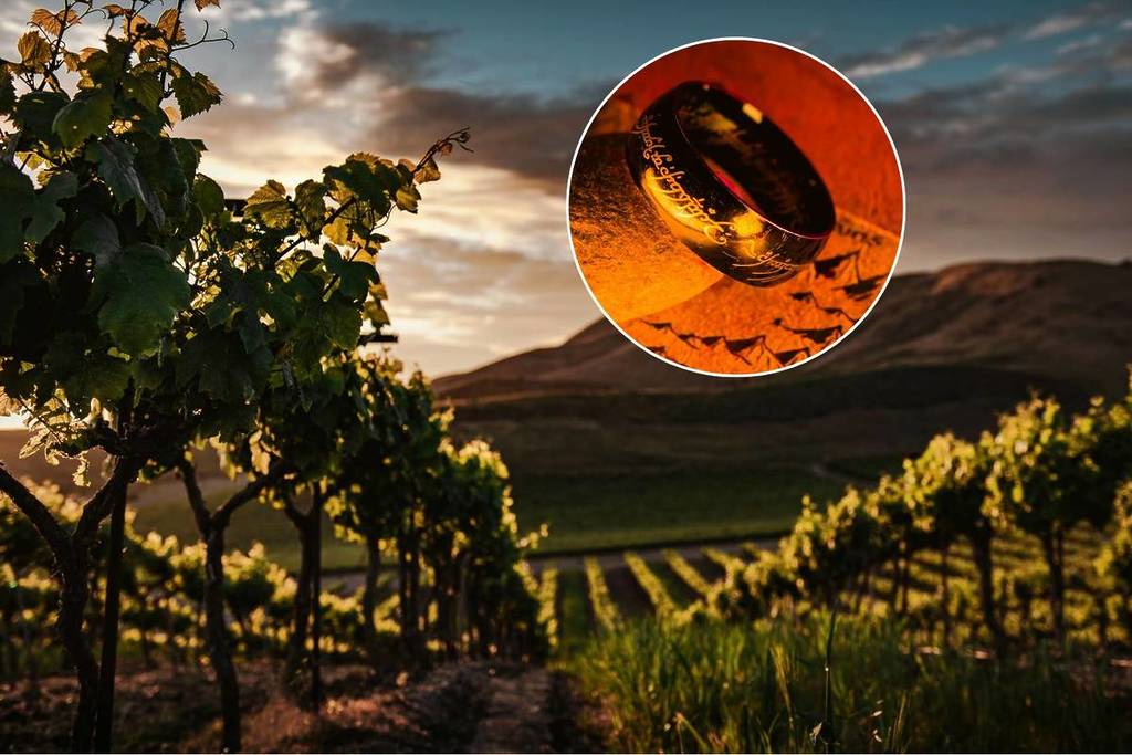 À moins d&rsquo;1 heure de Bordeaux, ce domaine recrée les vins mythiques du Seigneur des Anneaux pour que vous puissiez les goûter