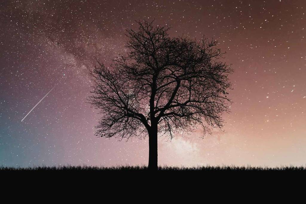 Lyrids, a meteor shower in April