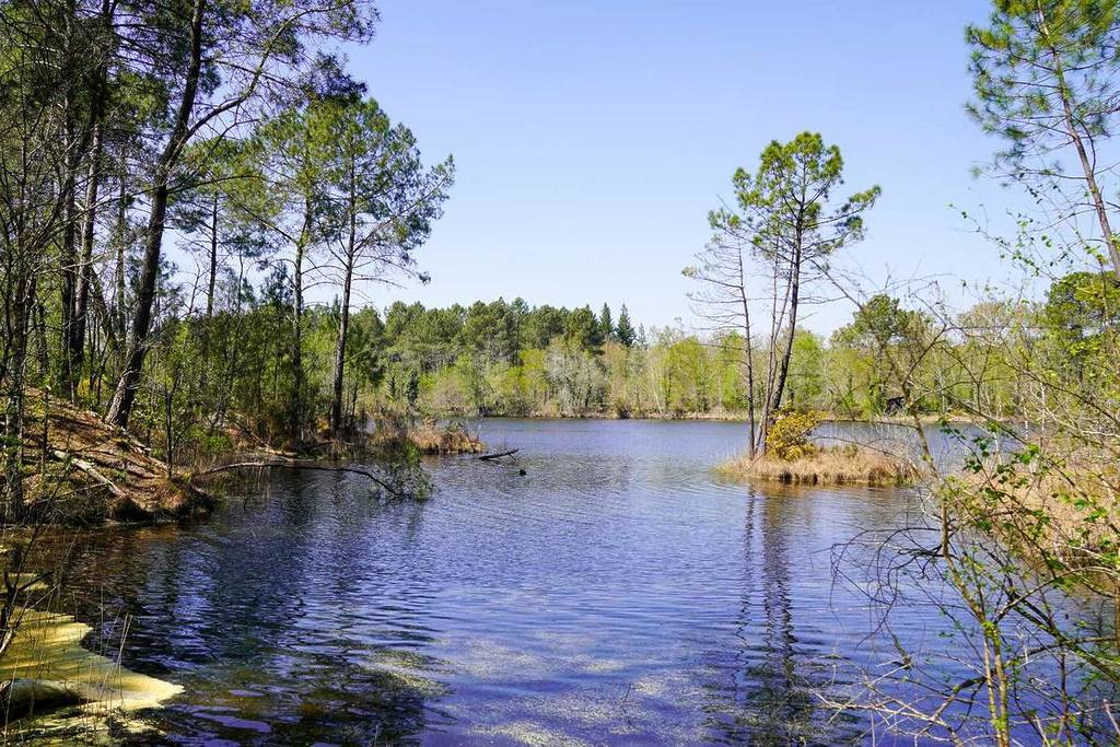 Domaine des Lacs d'Hostens in Gironde near Bordeaux