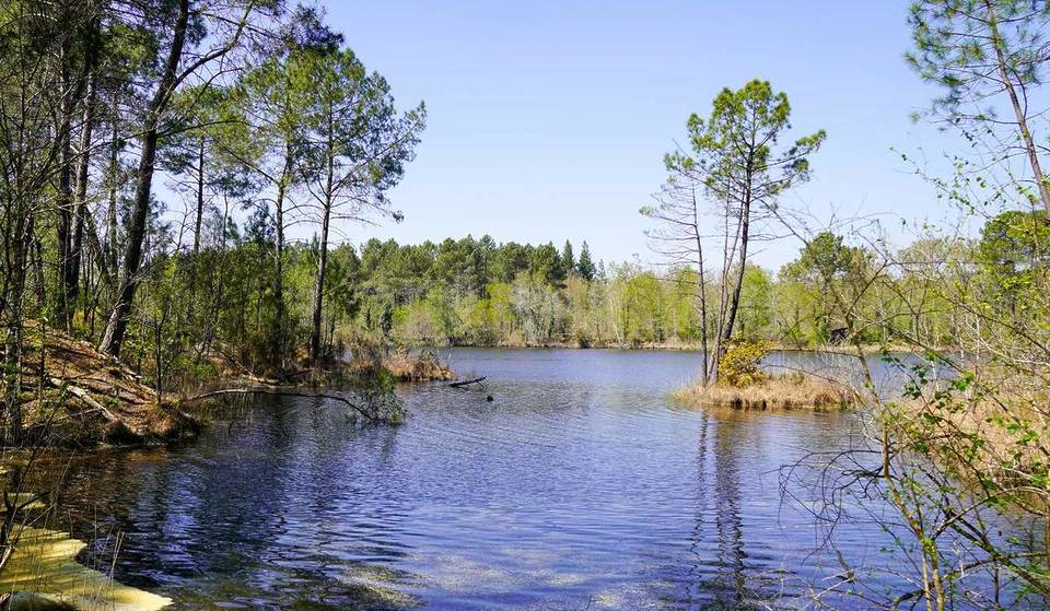 The Best Lakes and Ponds to Cool Off Near Bordeaux