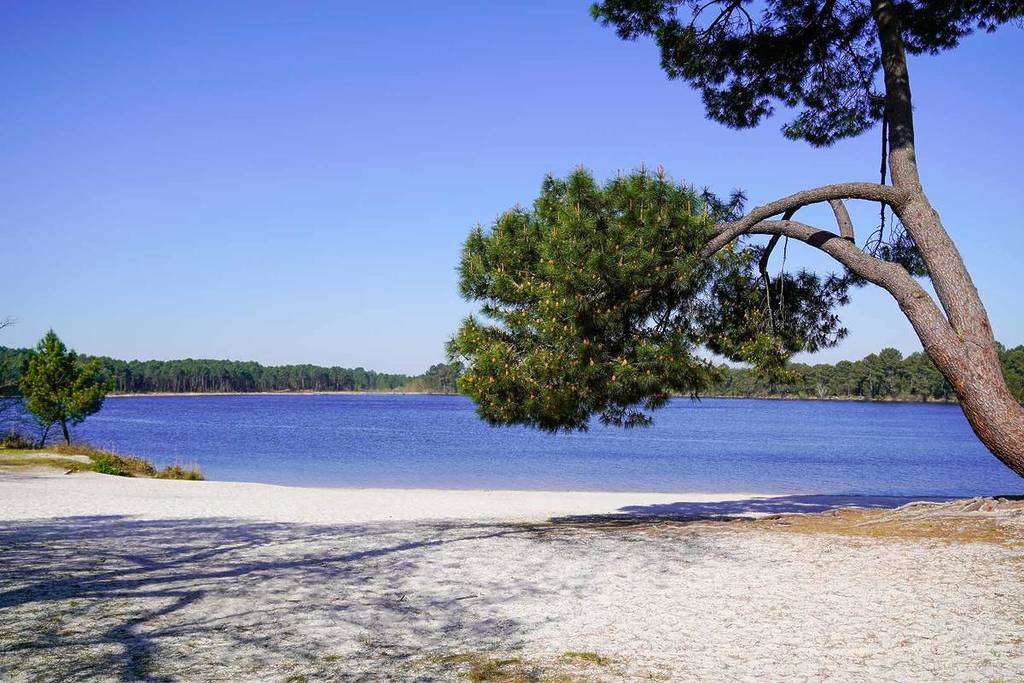 Domaine des Lacs d'Hostens en Gironde près de Bordeaux