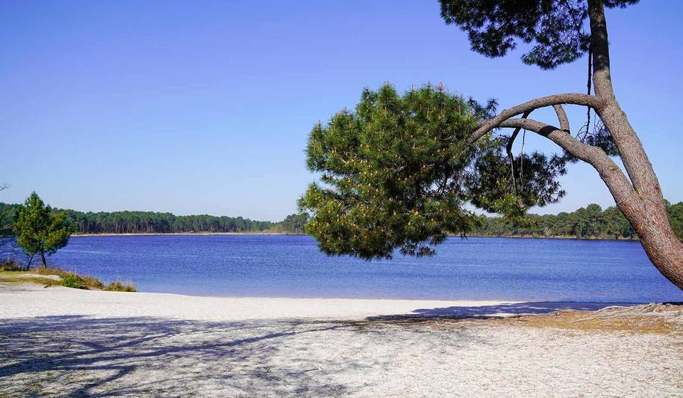 À seulement 45 minutes de Bordeaux, cet ancien site minier de 600 hectares donne l’impression d’être aux Caraïbes entre eaux turquoise, sable blanc et forêts verdoyantes
