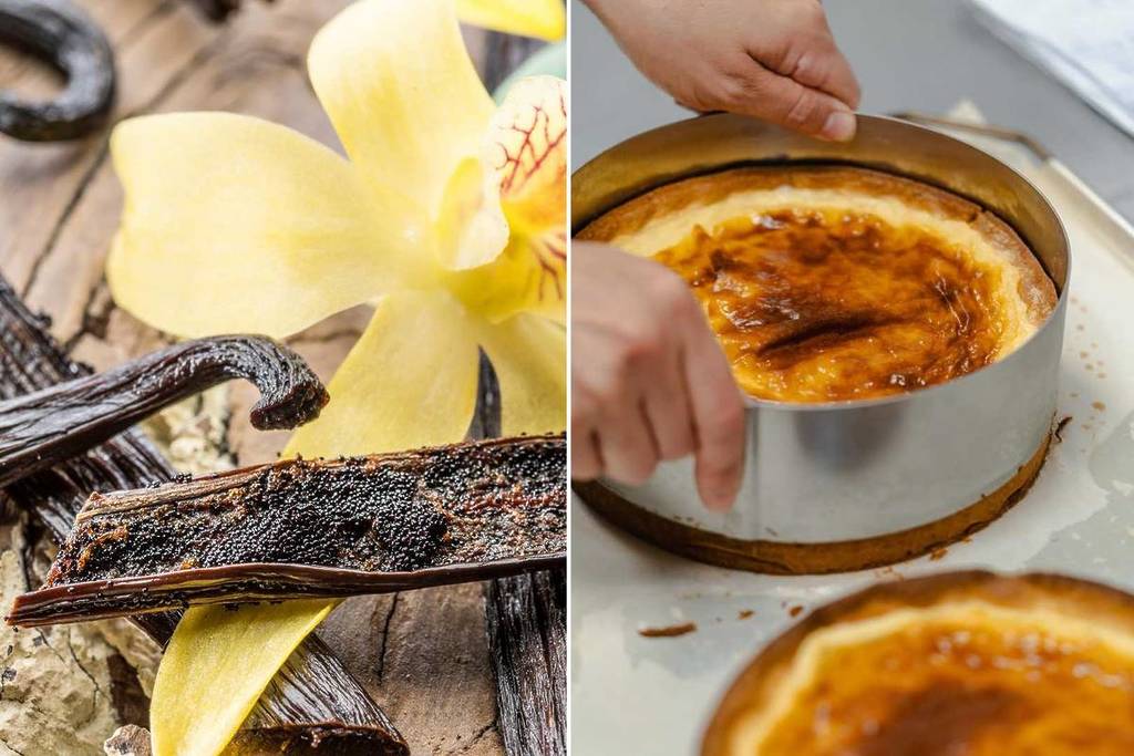 Pâtisserie Vanilla Lina à Bordeaux