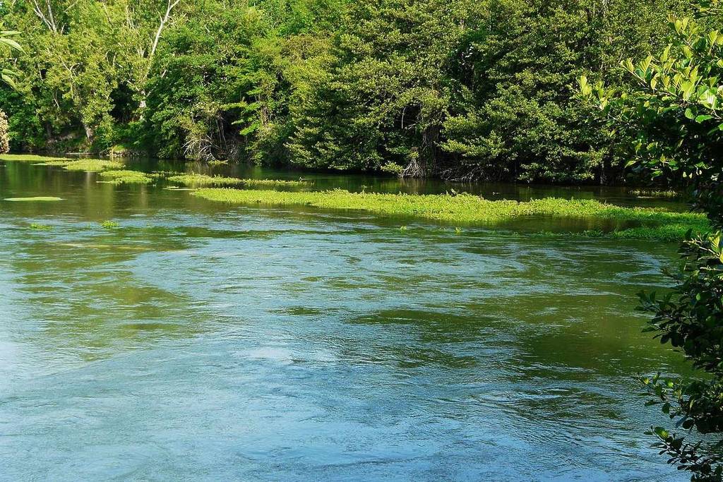 Source of the Touvre in Charente near Bordeaux
