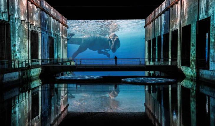 Travel back 66 million years for a fascinating immersion among the dinosaurs: a unique experience coming soon to the Bassins des Lumières in Bordeaux