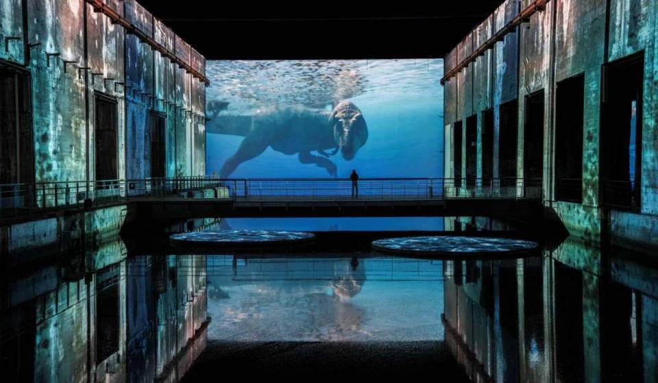 Voyagez 66 millions d&rsquo;années en arrière pour une immersion fascinante au milieu des dinosaures : une expérience inédite à venir aux Bassins des Lumières de Bordeaux