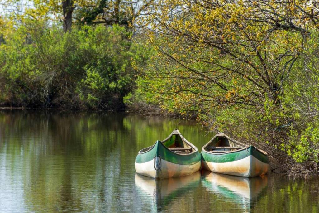 The Leyre Delta in Biganos