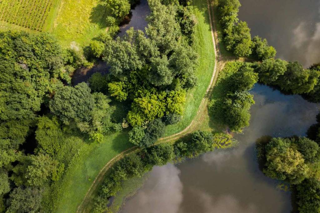 Rivière Le Ciron au Sud de la Gironde
