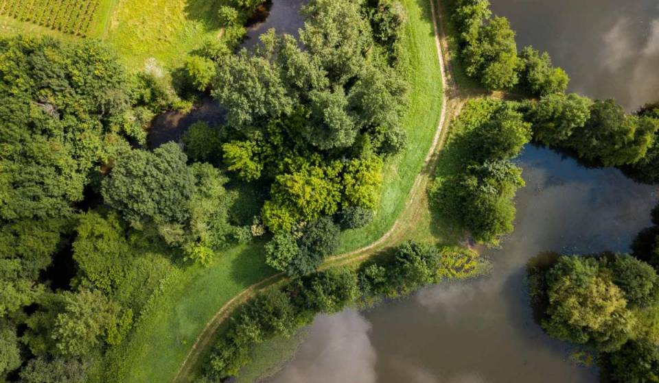 Du canoë sur une rivière millénaire bordée par un château royal et au milieu d’une forêt ancestrale : un cadre enchanteur à découvrir à 1h de Bordeaux