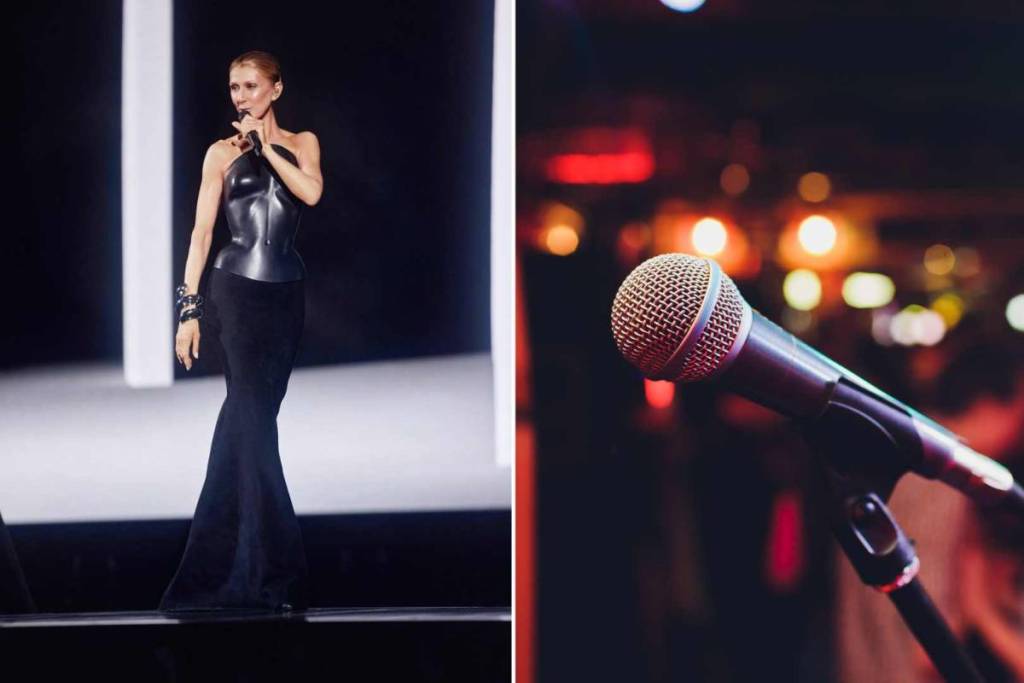 Le Théâtre Fémina de Bordeaux prépare un karaoké géant consacré à Céline Dion début octobre