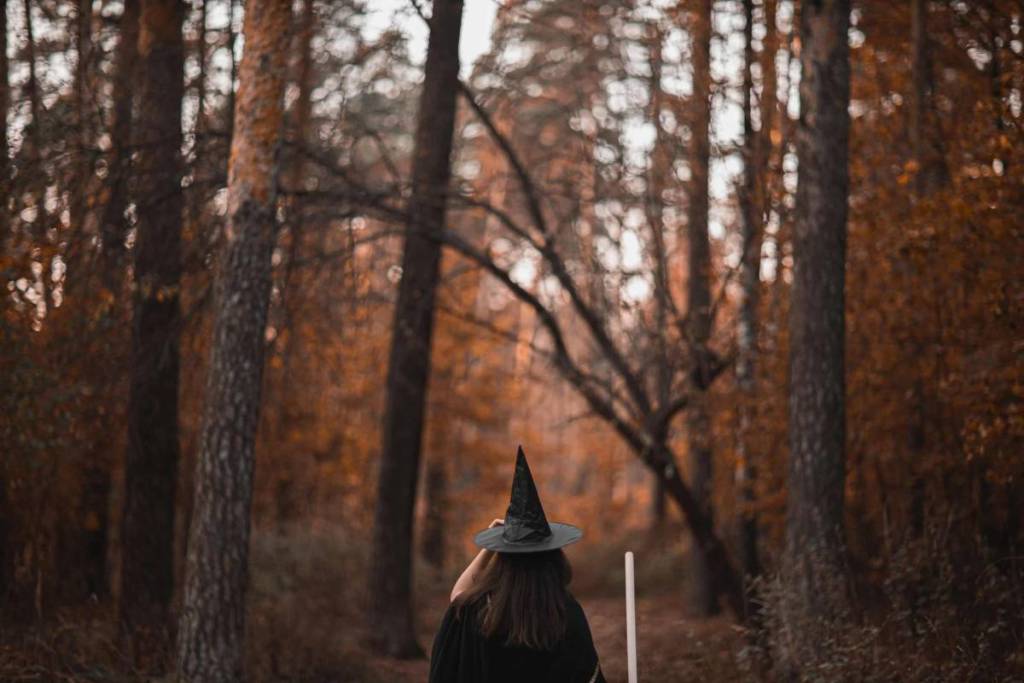 À 15 km de Bordeaux, cette forêt se transforme en parcours mystérieux avec énigmes et créatures pour un Halloween enchanté en famille