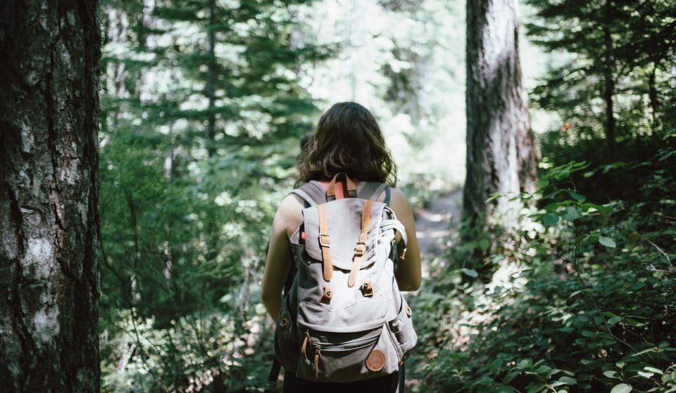 10 Beautiful Places To Go Hiking Around Boston