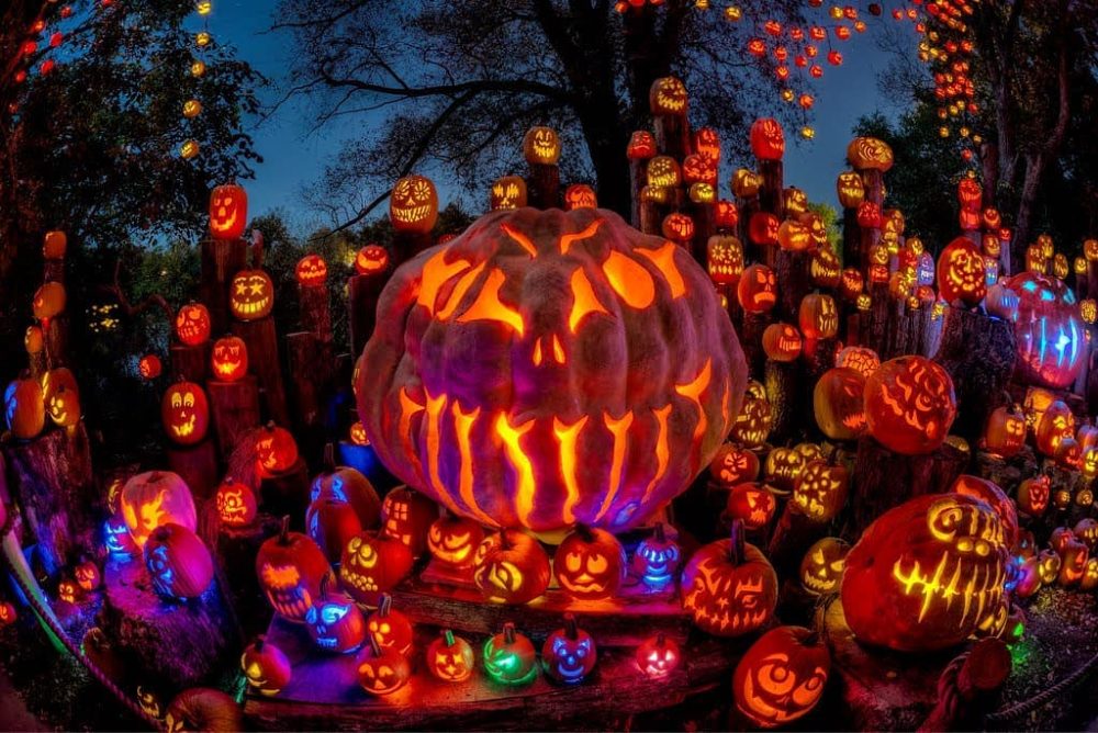 You Can Now Drive Through A Gourd-geous Field Of Jack-O-Lanterns