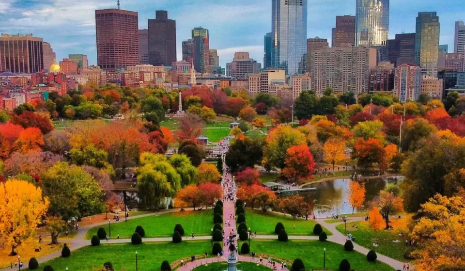 29 Fantastic Things To Do In Boston This November