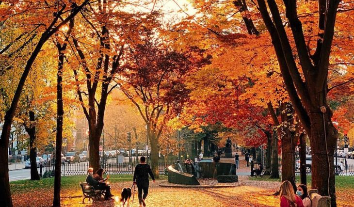 53 Things To Do This Autumn In Boston: The Ultimate Fall Guide
