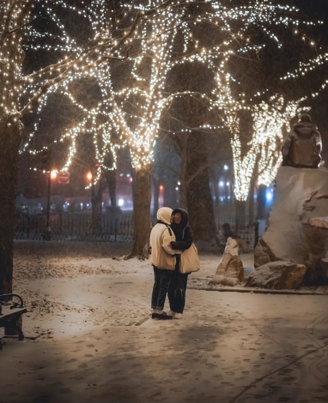 commonwealth-avenue-snow-winter