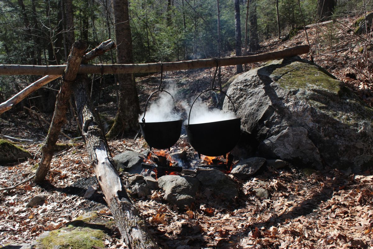 You Can Go Maple Sugaring At These 3 Massachusetts Spots This March Boston Uncovered