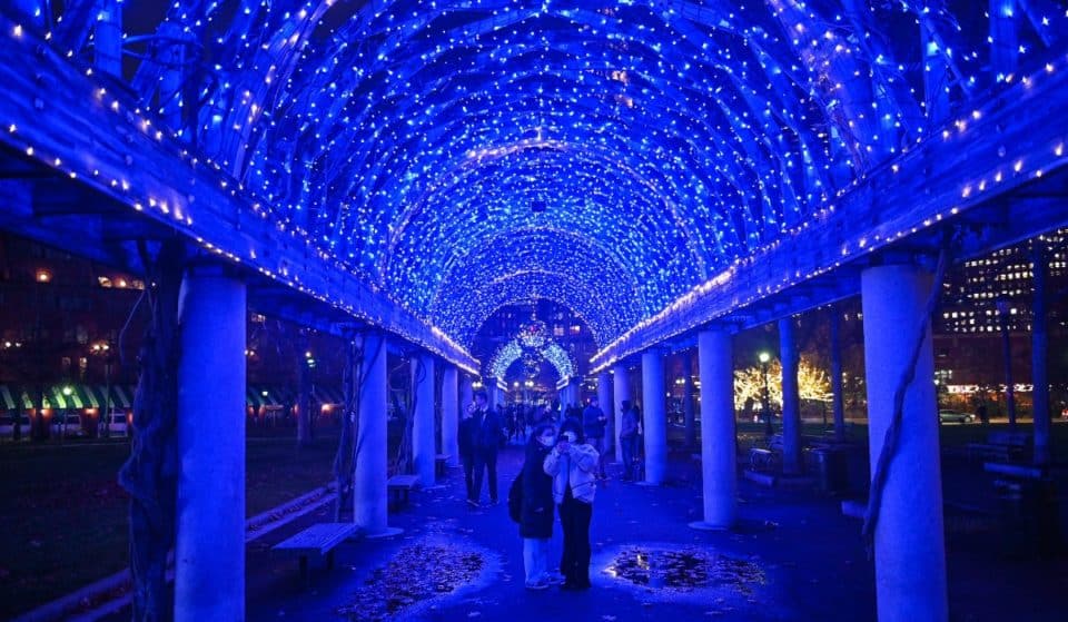 50,000 Lights Will Transform The Christopher Columbus Park Trellis Into A Fairylight Tunnel Tonight