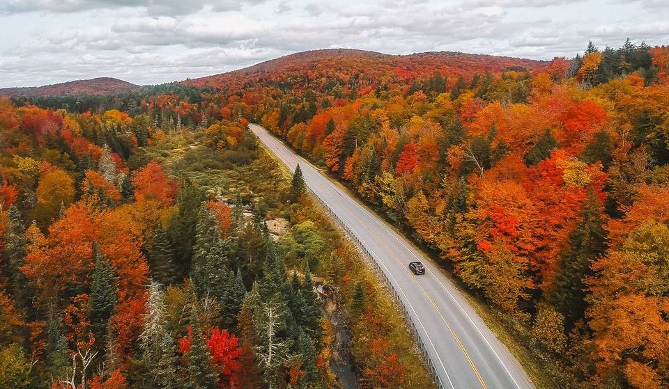 These Are The Most Scenic Routes In New England—From A 27 Mile Vintage Train Route To 90 Miles Of Glistening Coastline