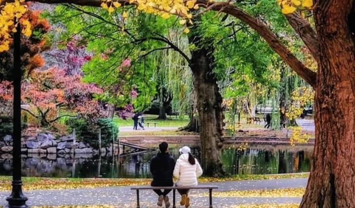 12 Deliciously Delightful Date Ideas In Boston